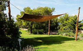 Petunia Ibiza, A Beaumier Hotel (Adults Only)